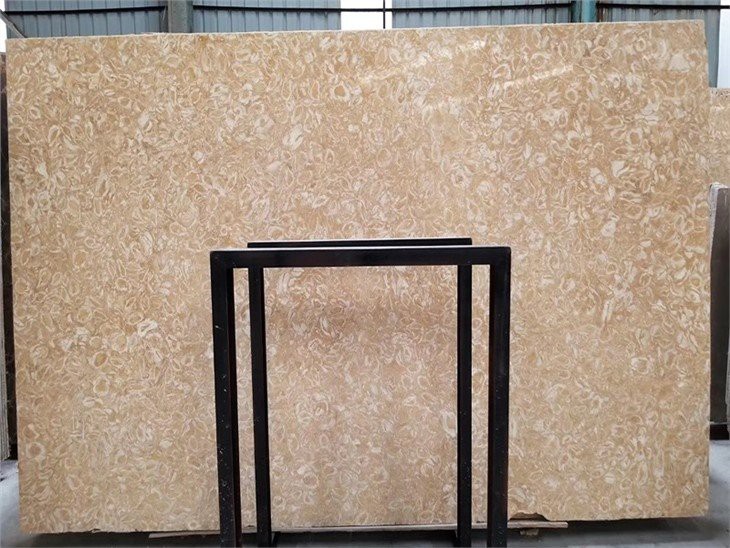 Golden Shell Marble Slab